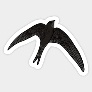 Swift Sticker